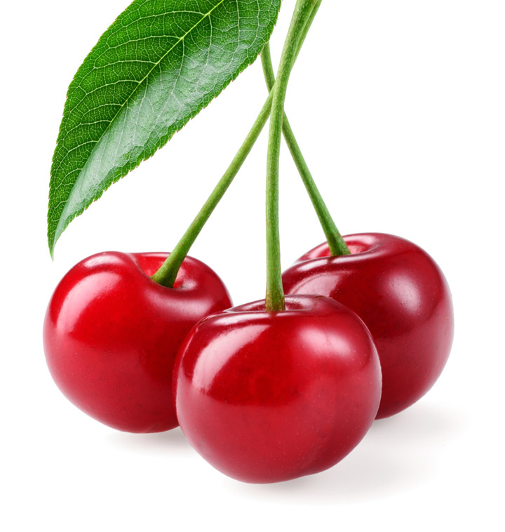 25년 햇 생과 영천 체리 1kg 2kg : 일프로농가