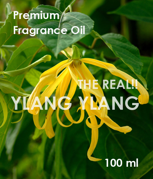프레그런스 오일 일랑일랑 100ml : 더플라워스토리