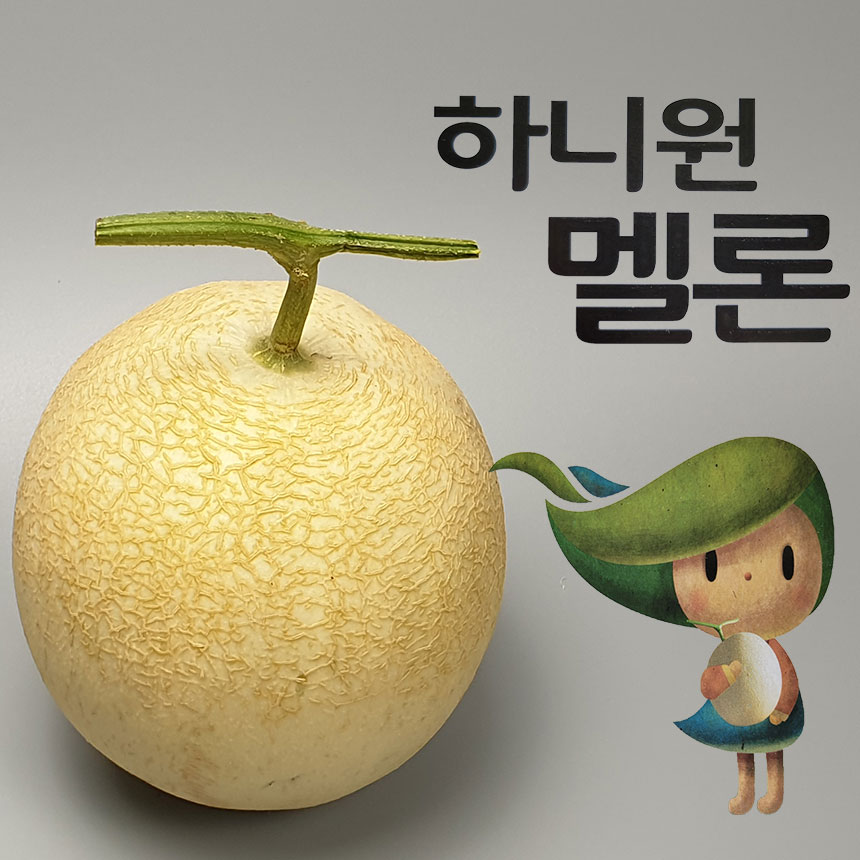 인생 메론 춘천 하니원 메론 특대과 대과 멜론 초고당도 : 조은맛푸드