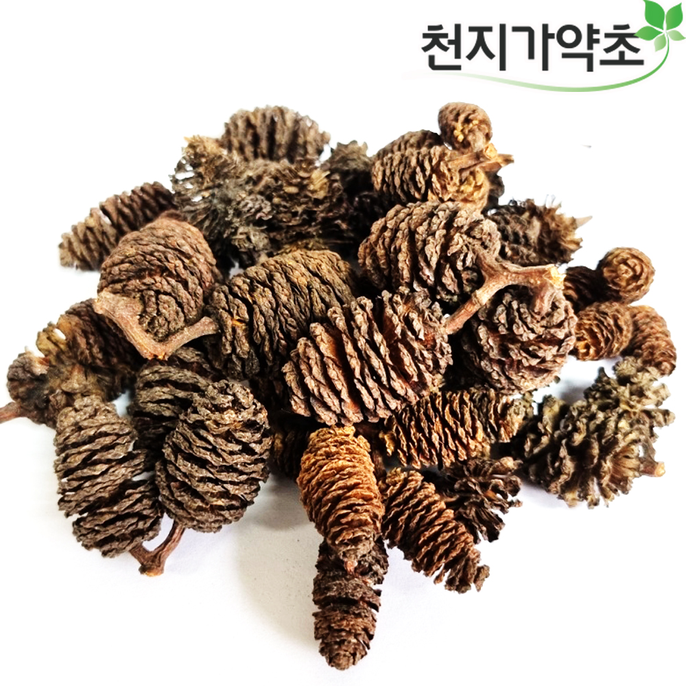 국산 오리나무열매 100g : 천지가약초