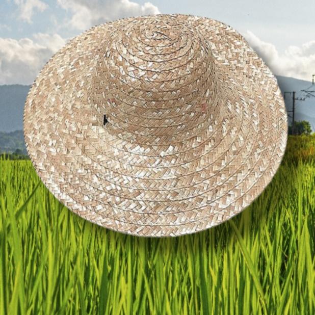 농사밀짚모자 제주도 감 귤 모자 왕챙모자 여름 여행용 베트남 할아버지 라탄 왕골 농사꾼 : SMARTPET