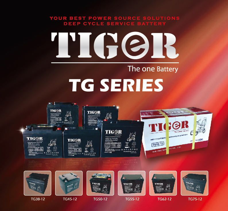 TG50-12 (12V 50AH) 전동휠체어 전동스쿠터 배터리 밧데리 (2개 1세트) : 비에스테크