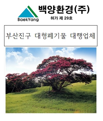 백양환경 대형폐기물 : 백양환경주식회사