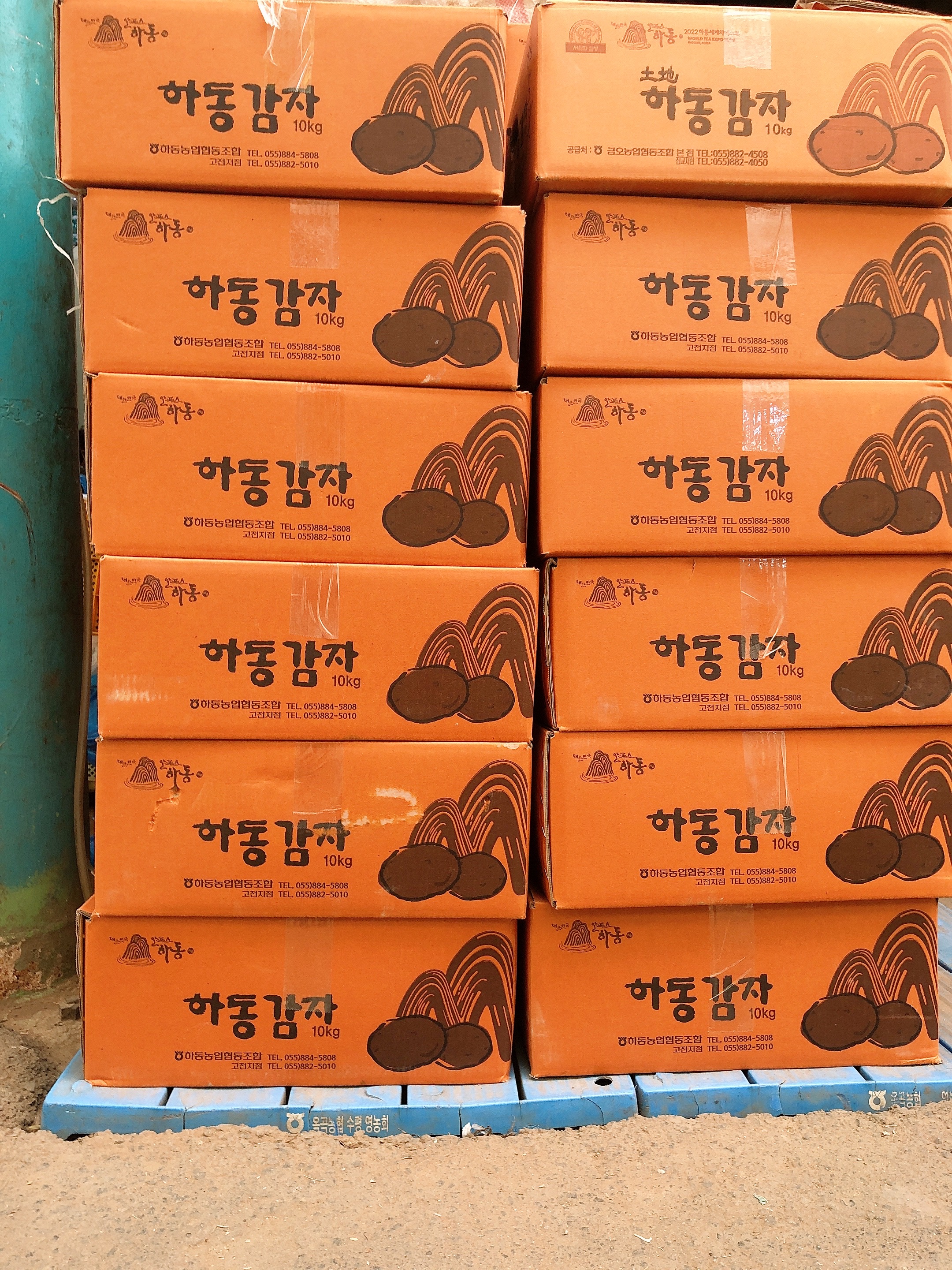 판매완료 하동  햇 홍감자 자색감자 감자튀김 감자 포테이토 카스테라 : 갑을상회