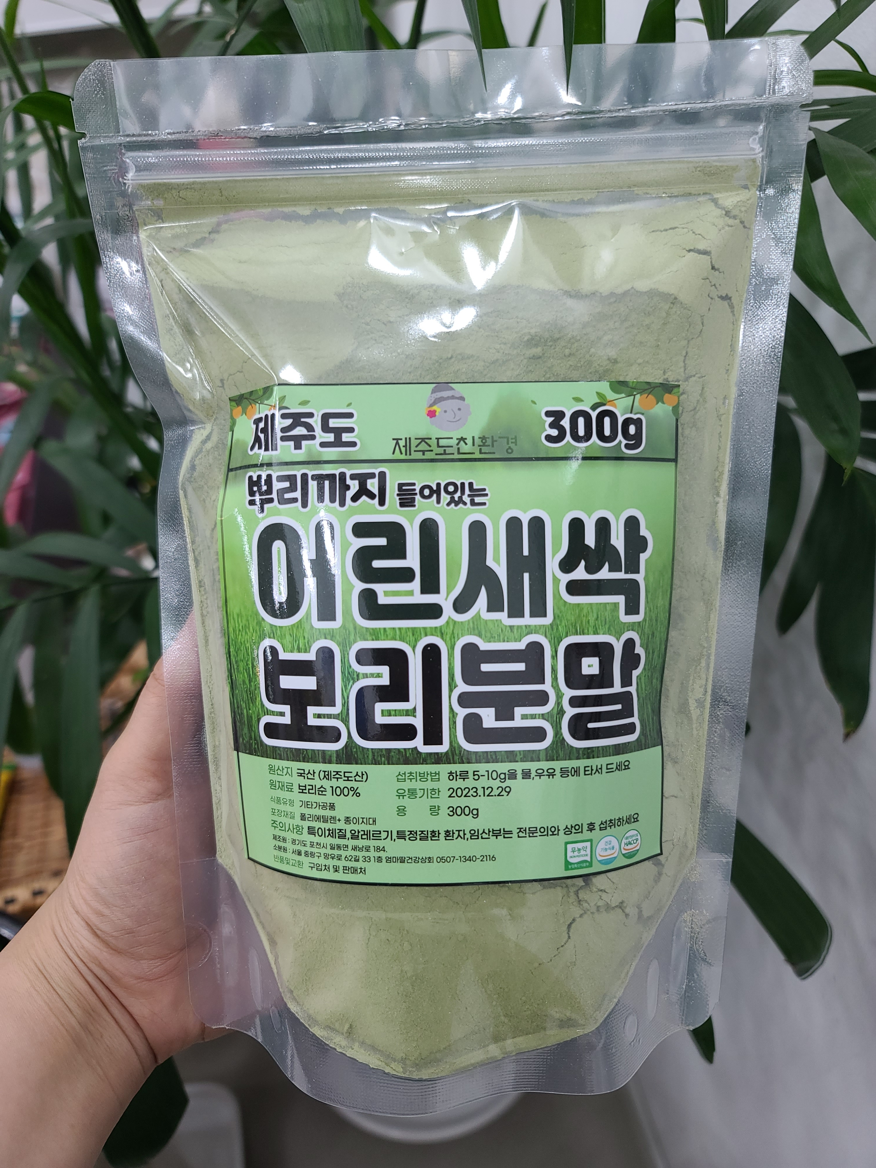 제주도 수경재배 뿌리까지 들어있는 어린새싹보리분말♡ : 엄마딸건강상회