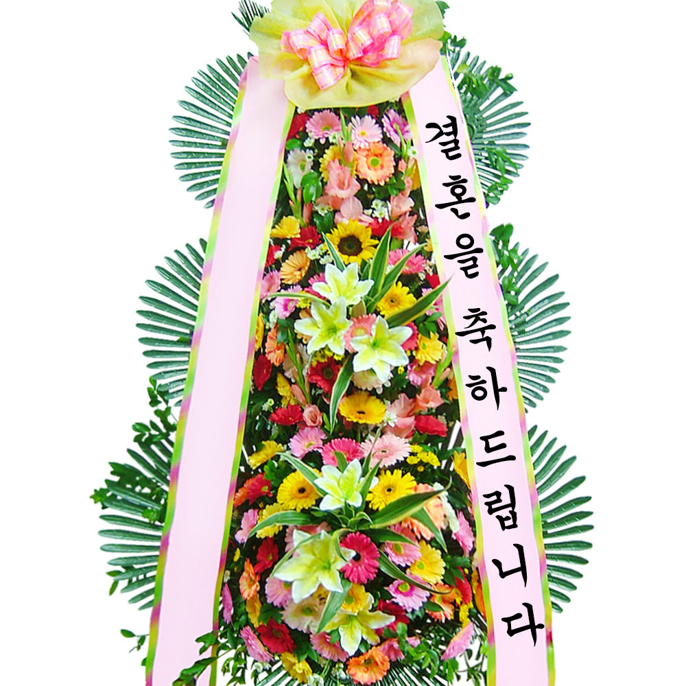 화환 근조화환 축하화환 개업 화분 장례식 결혼식 승진 동양란 전국당일꽃배달 : 친친플라워