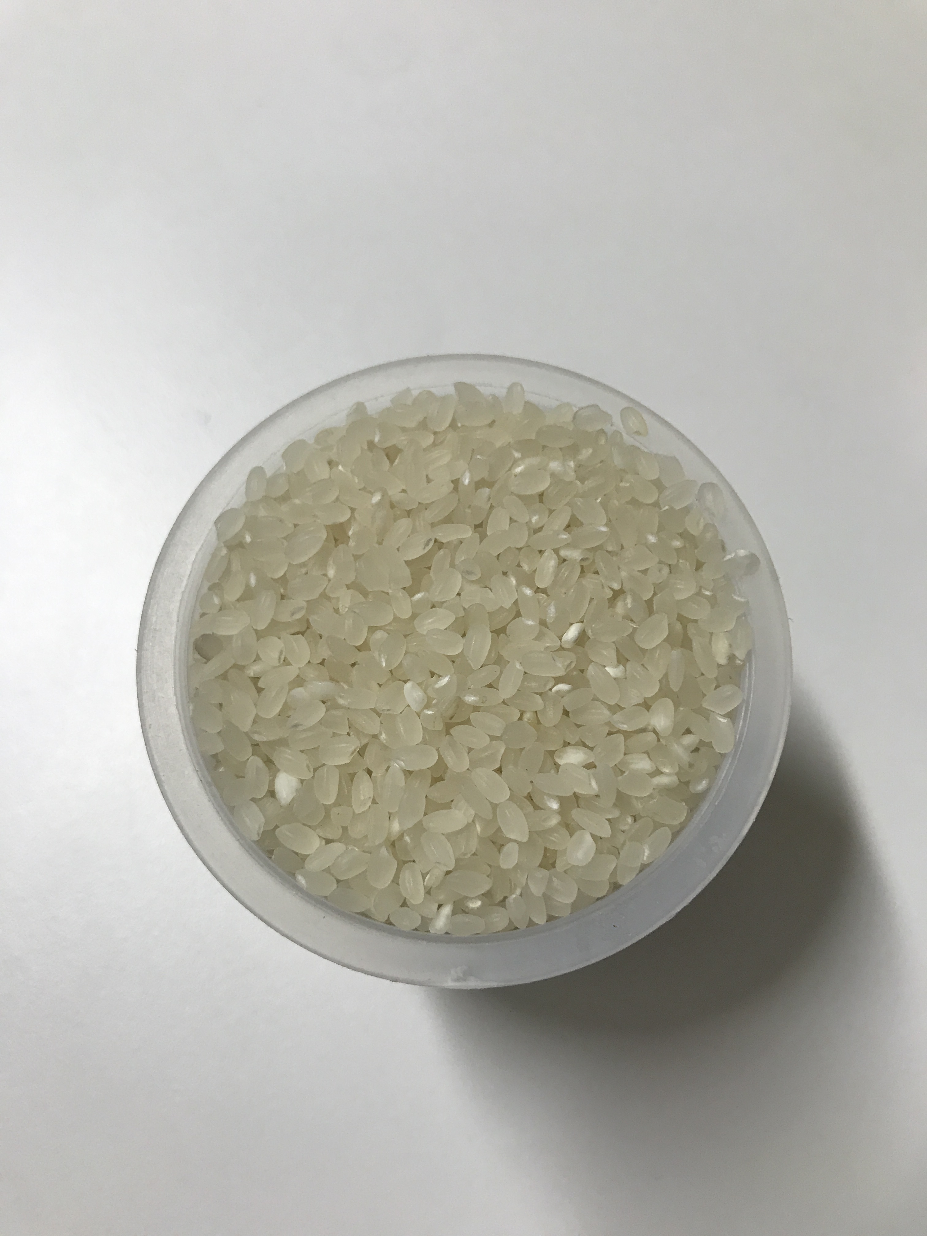 만인밥상 예산삼광미 삼광쌀10kg 햅쌀 맛있는쌀 : 만인밥상