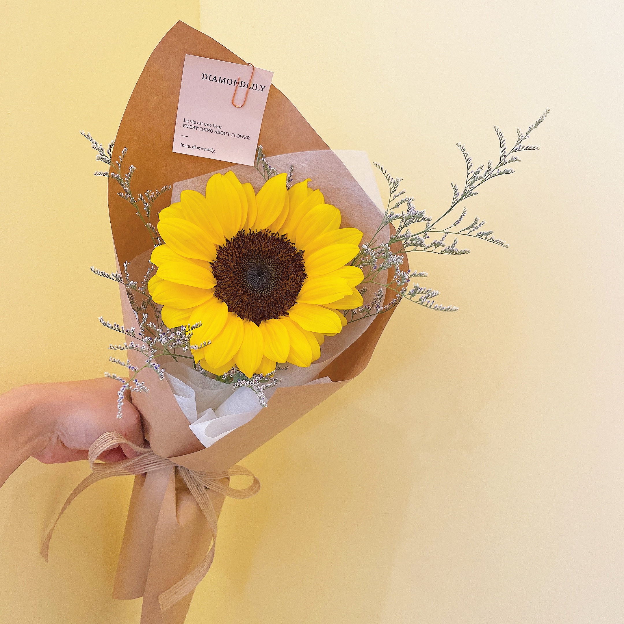 꽃택배 생화 해바라기 한송이 : 다이아몬드릴리