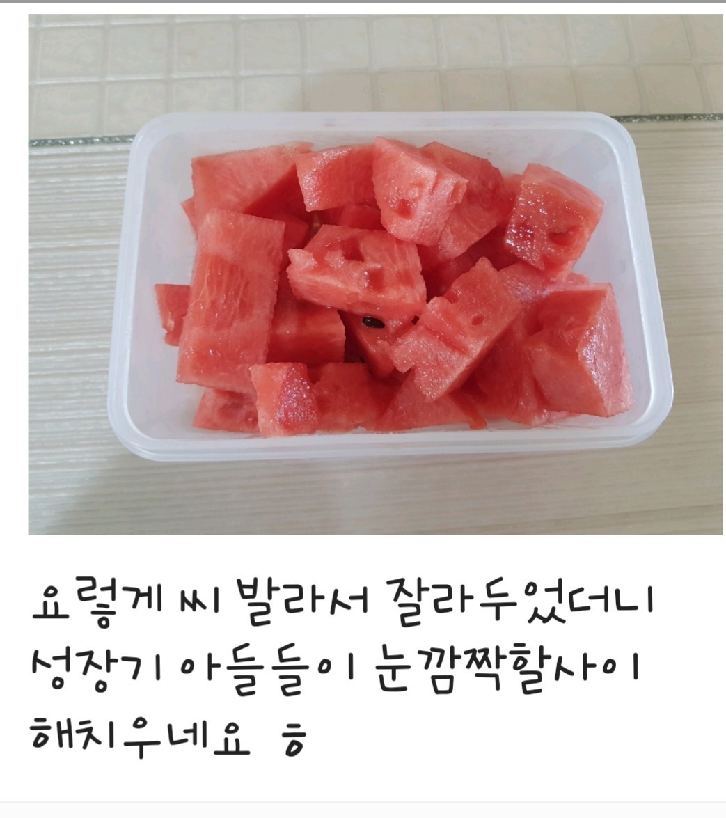 시원하게 더위 쑥 빼주는 통통 줄무늬 선명하고 느낌까지달콤한 강경 수박 : 제니쌀롱