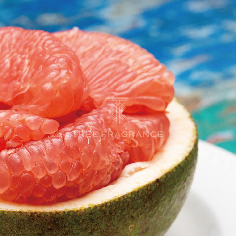 POMELO PARADIS 포멜로 파라디(A Type) : 캔들트리