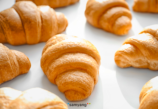 프랑스 크로와상 이즈니버터 75g x 30개 : 투스타몰