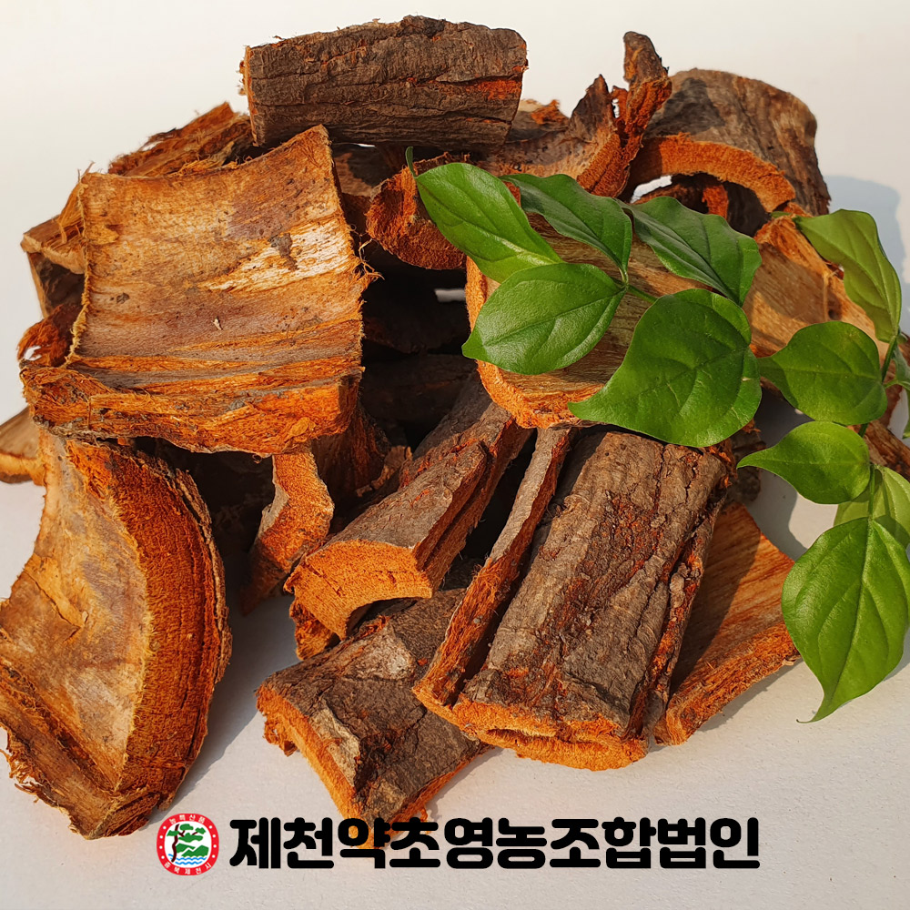 국산 유근피 느릅나무뿌리  500g 제천약초영농조합법인 제천약초시장 : 제천약초영농조합법인