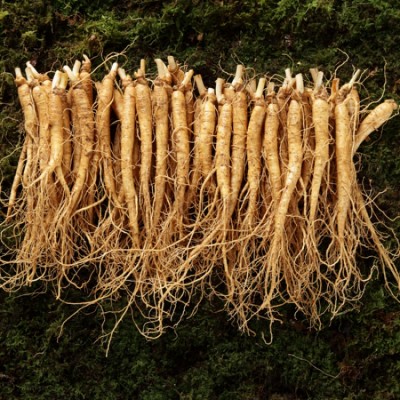 금산 인삼 수삼 중(中) 삼계 (500g/50~60뿌리/5~6년근) : 좋은 금산 인삼