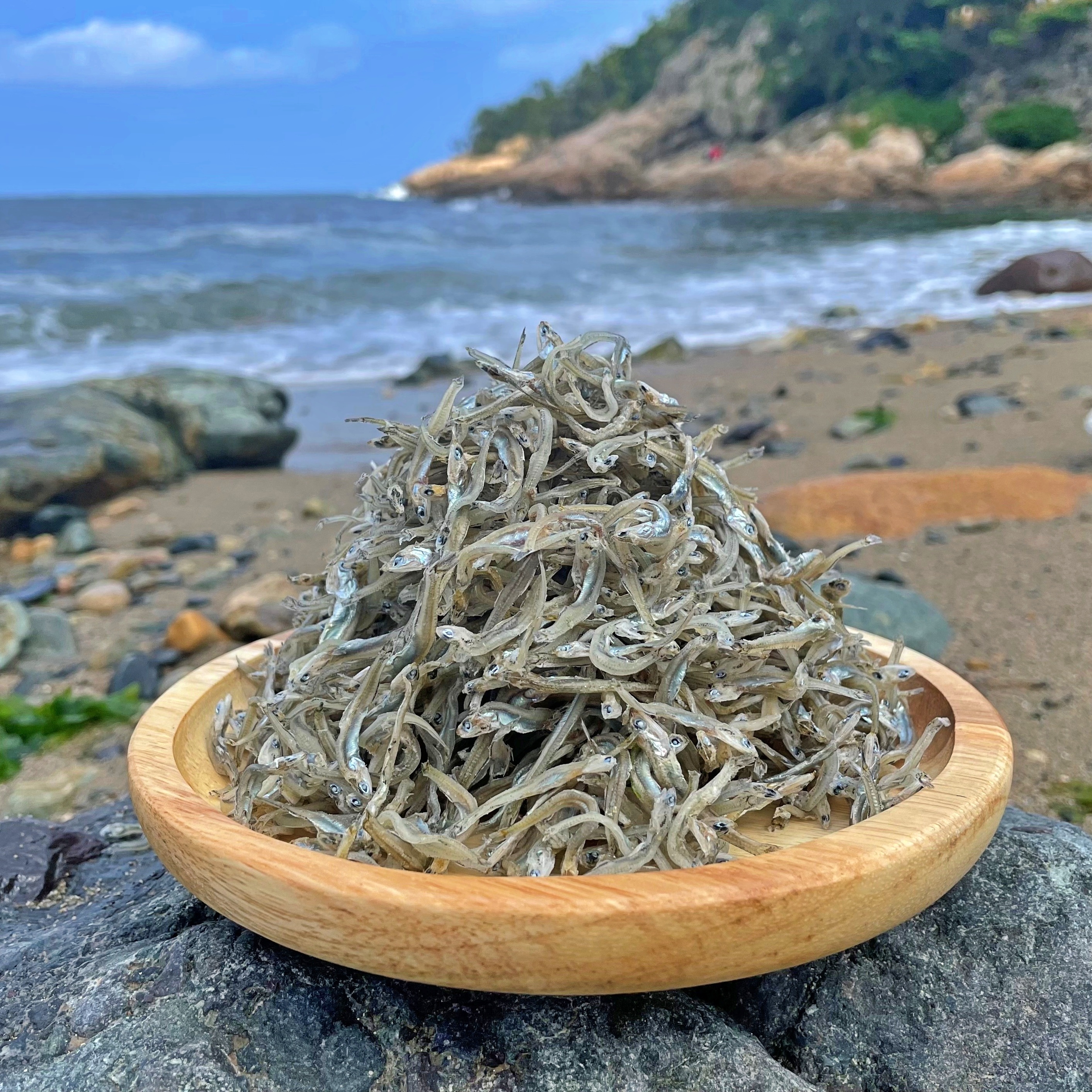 거제 정치망 가이리멸치 1.5kg 볶음멸치 자멸 잔멸치 세멸 : 거제담아