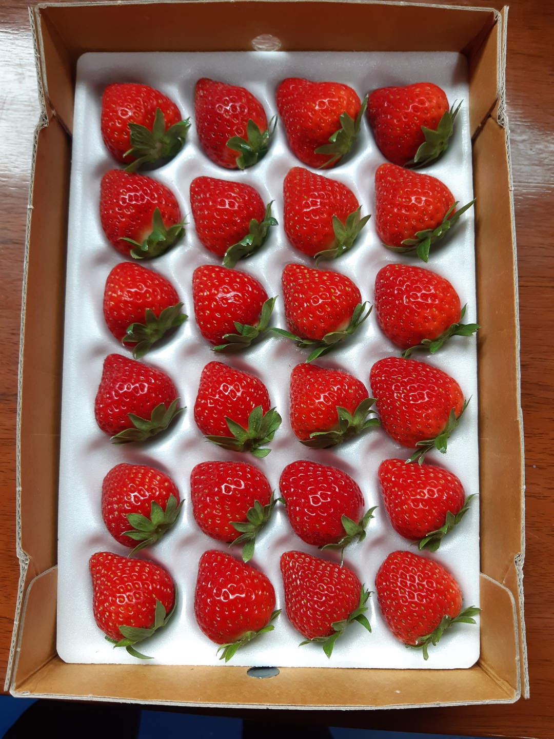 여름딸기(데코용) 300gx4팩 총 1.2kg 과수 랜덤발송 : 땡큐베리 딸기체험농장