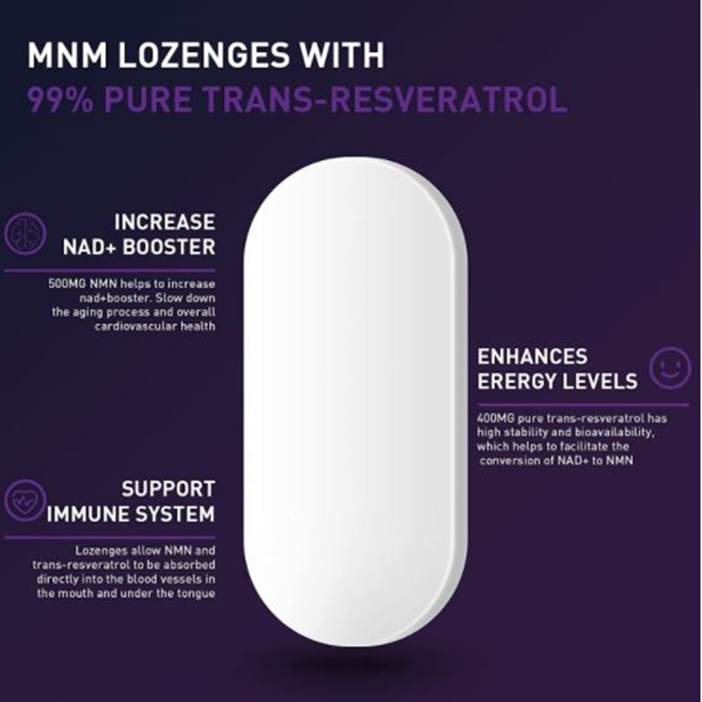 비건 NMN NAD+99.9% 900mg 120정x2통 니코틴산아미드 물없이먹는 로렌지 : 팡팡엔젤