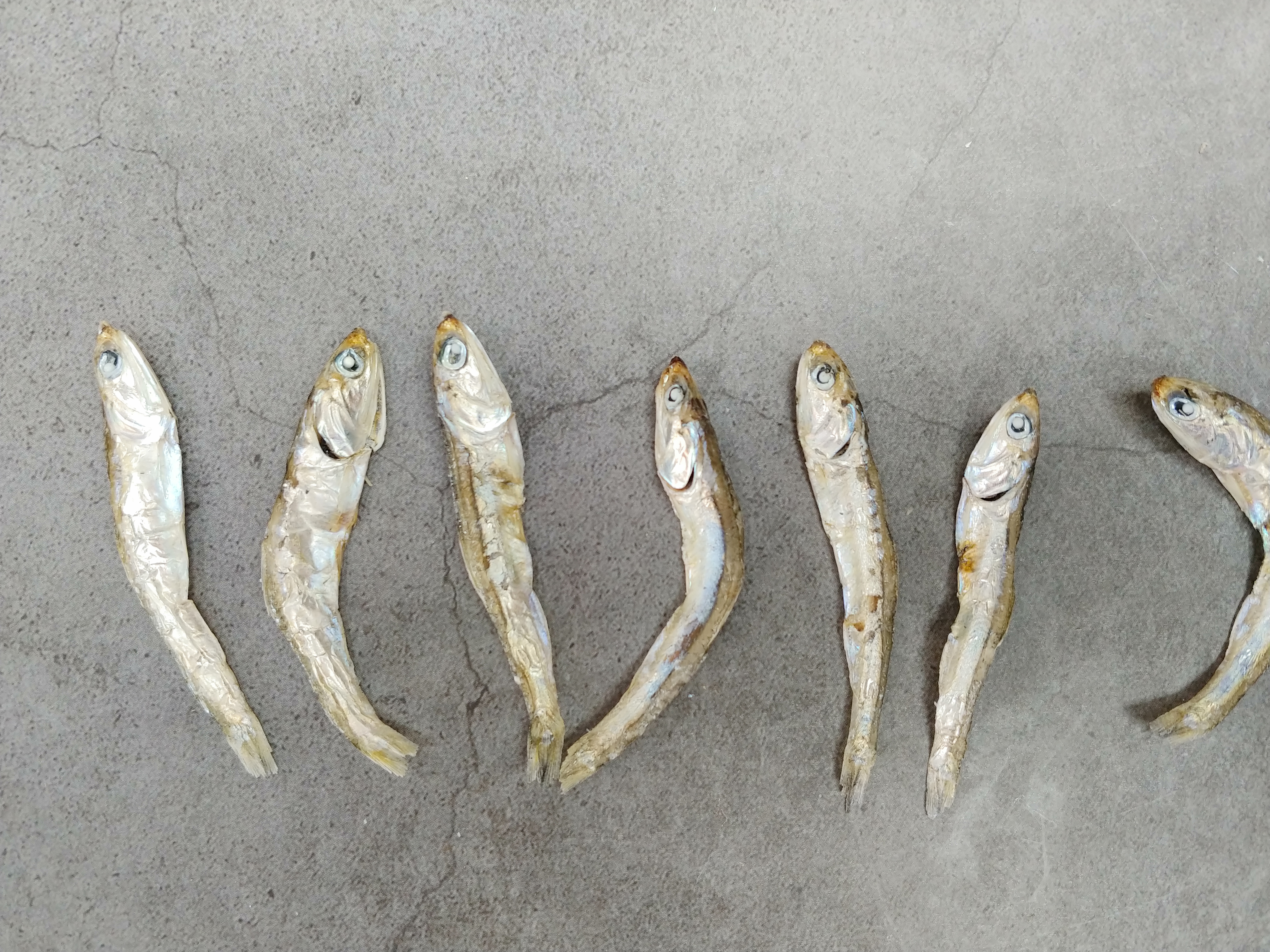 남해 죽방 멸치  300g/500g : 남해건어물점빵