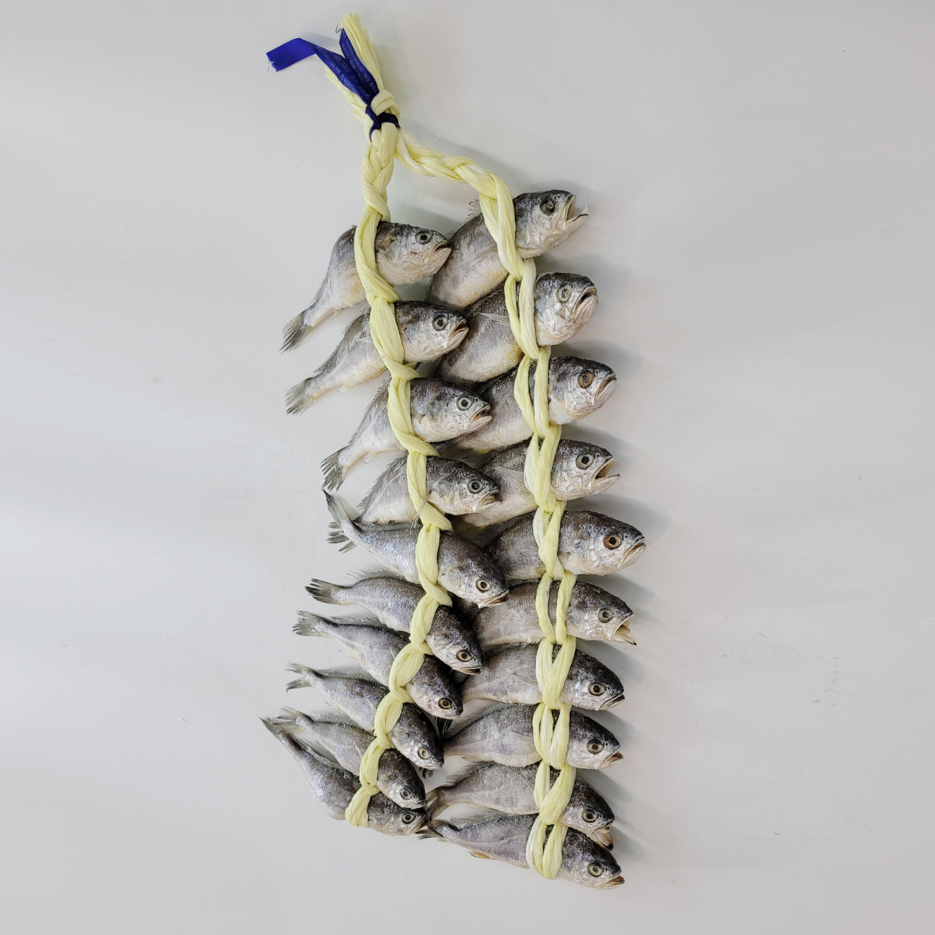 영광법성포 굴비 가정용 역걸이 1,6호 중량 1.6kg 길이 약 19-20cm : 박가네굴비마을