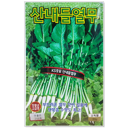 산내들열무 25g 열무씨앗 가을무 : 주식회사 청농