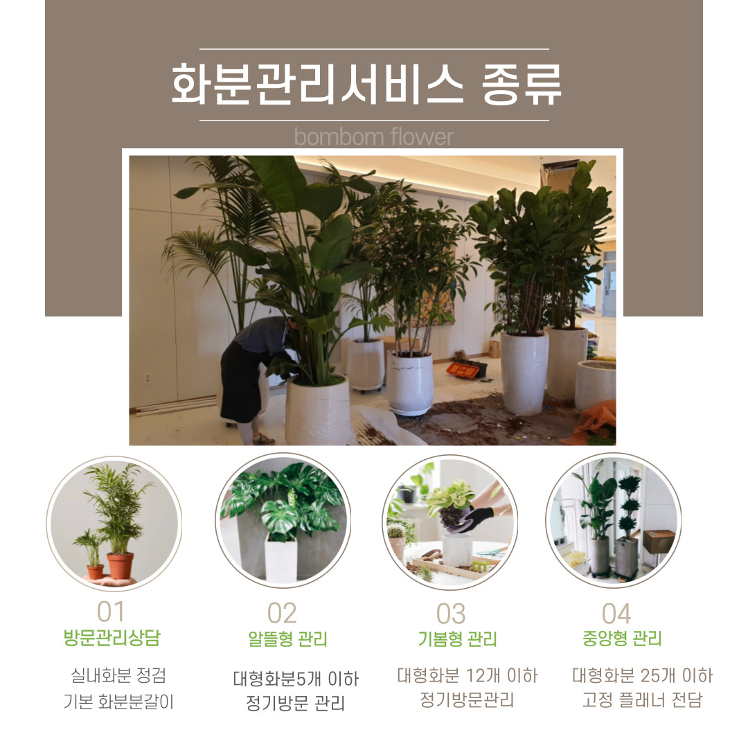 사무실 화분관리 식물관리 서비스(부산,울산) : 봄봄 플라워