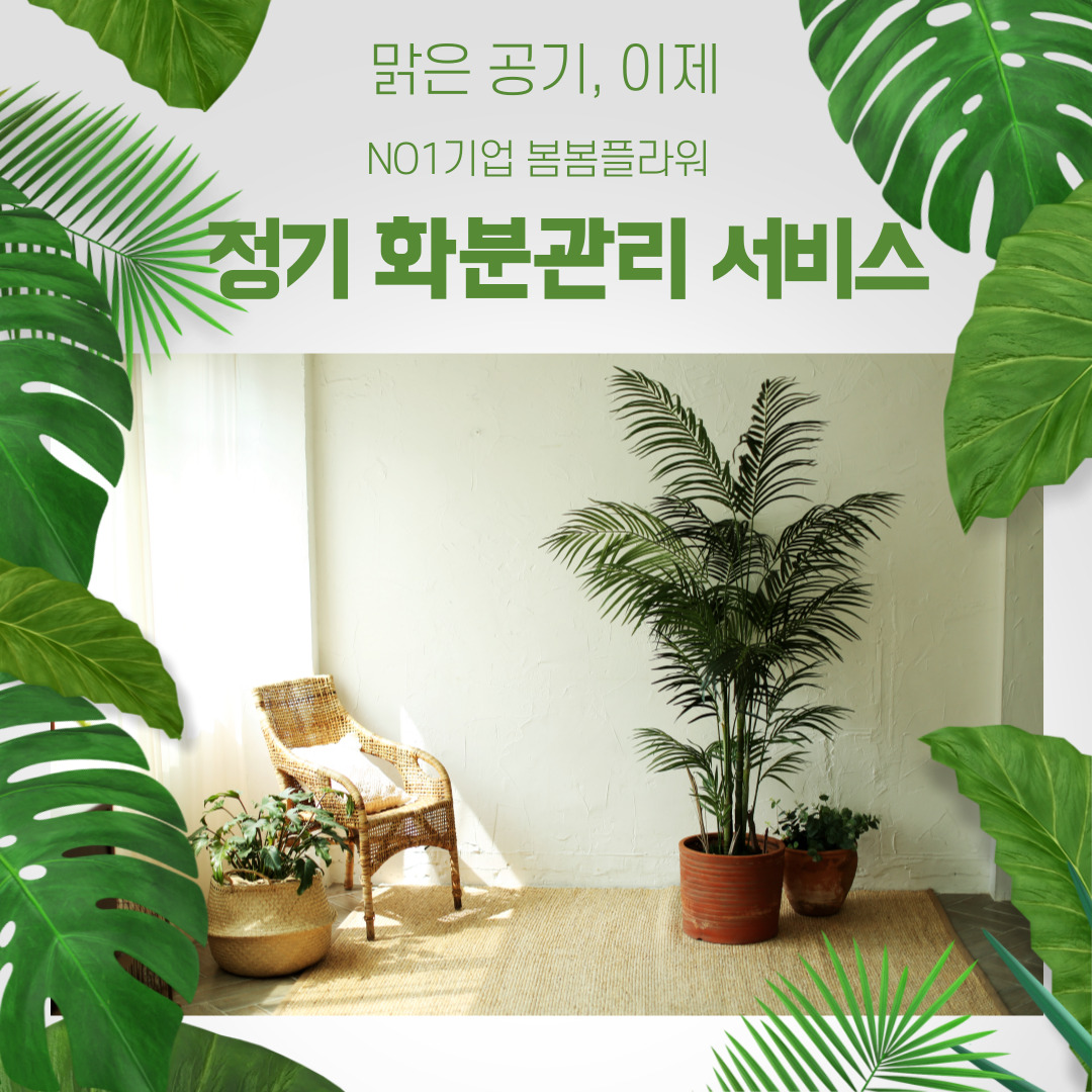 사무실 화분관리 식물관리 서비스(부산,울산) : 봄봄 플라워