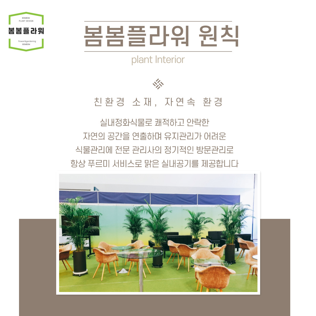 사무실 화분관리 식물관리 서비스(부산,울산) : 봄봄 플라워