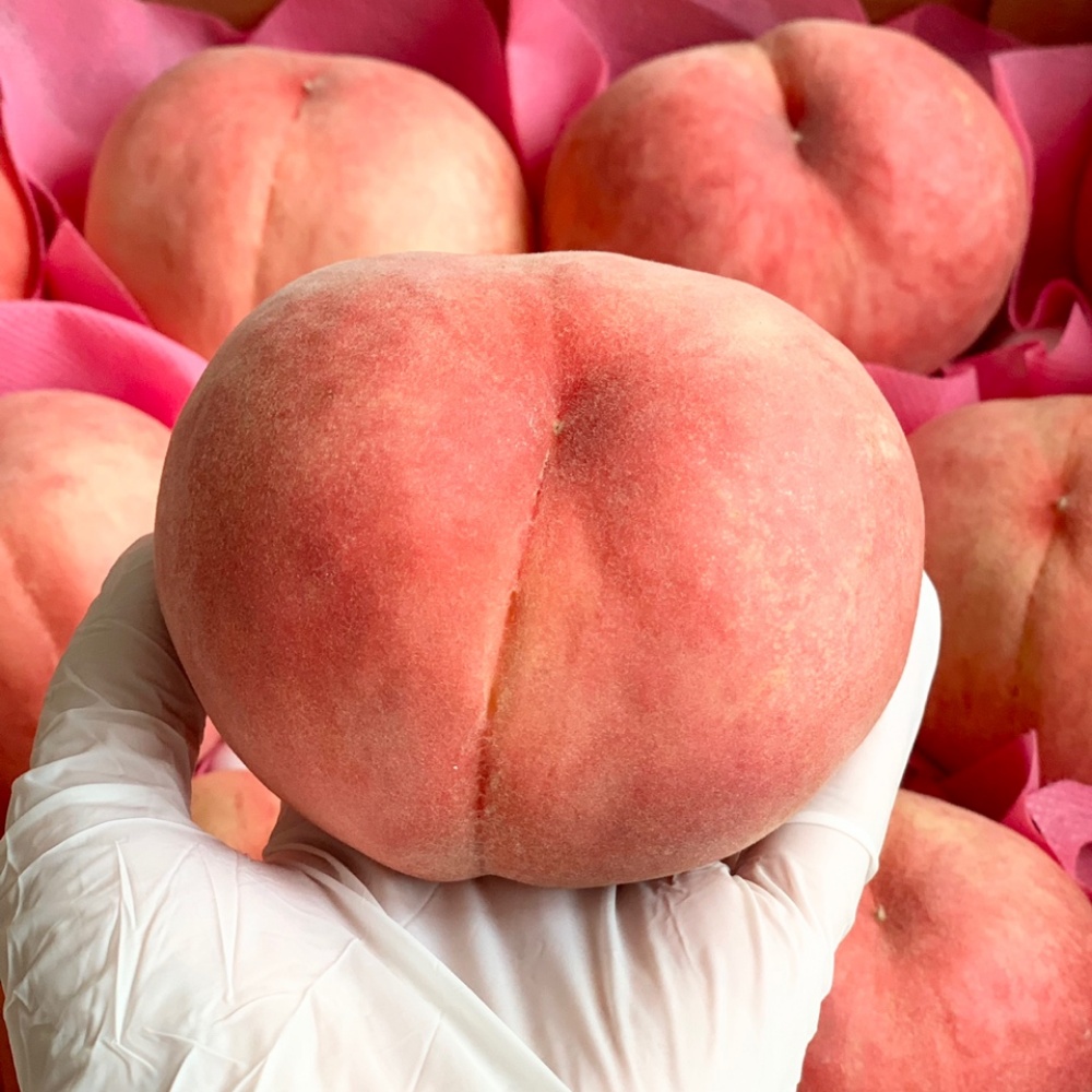 여름제철과일 단금도 천중도 아삭한 딱딱이 대월 경봉 청도 복숭아 딱딱이 딱복 4kg : 채소애