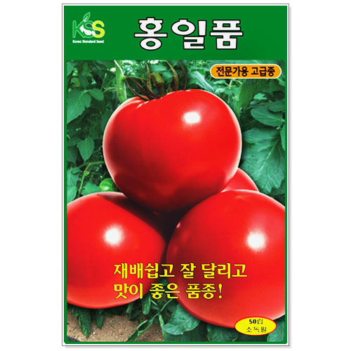 홍일품토마토씨앗 50립 찰토마토 채소씨앗 : 주식회사 청농