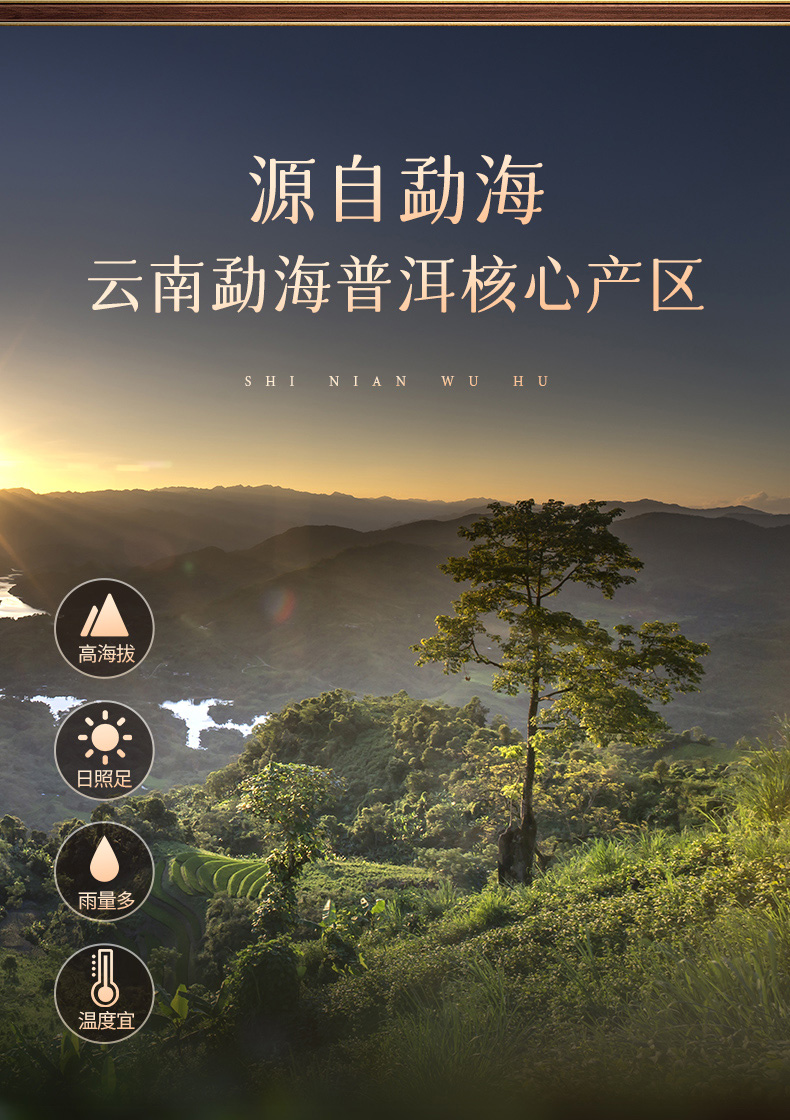 [77-161] 2010년 원료 2019년 출시 노반장 백년고수보이차 칠자생병 by 영보차창 총2499g 배송비포함 : 운남상회 티다차이