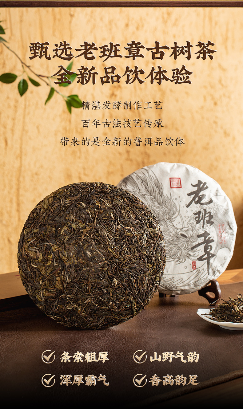 [77-161] 2010년 원료 2019년 출시 노반장 백년고수보이차 칠자생병 by 영보차창 총2499g 배송비포함 : 운남상회 티다차이