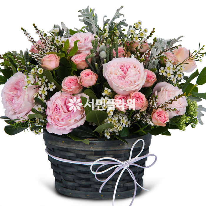 푸른하늘 a5006 꽃바구니 전국꽃배달 당일 생일 기념일 이벤트 출산 서프라이즈 서민플라워 : 서민플라워