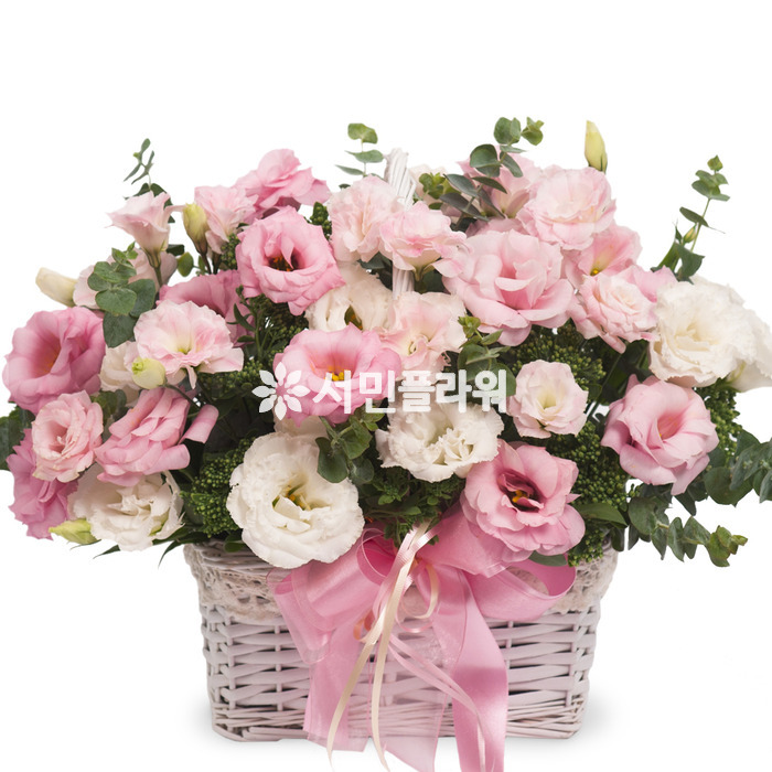 핑크리시안바구니  꽃바구니 전국꽃배달 당일 생일 기념일 이벤트 출산 서프라이즈 서민플라워 : 서민플라워