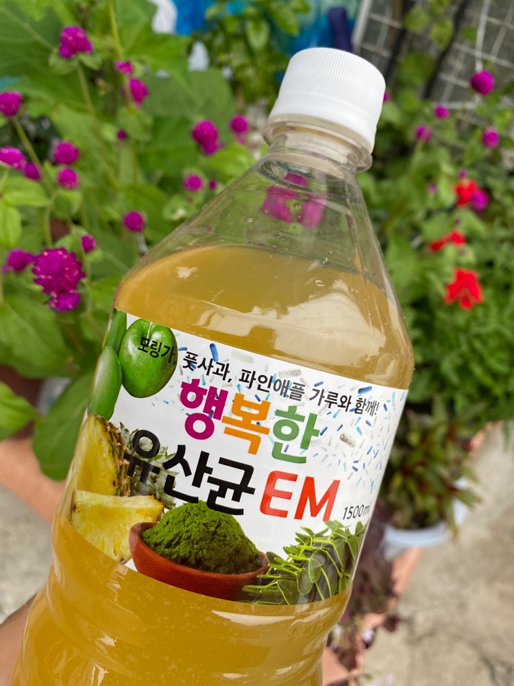 행복한도가수 유정룡효소과학 1병 : 행복한도가수