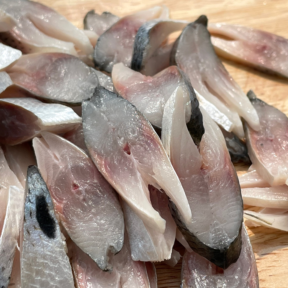 가을 생물 구이용 손질 전어 활전어 회 구이 500g 여름 햇전어 세꼬시 : 씽씽농수산