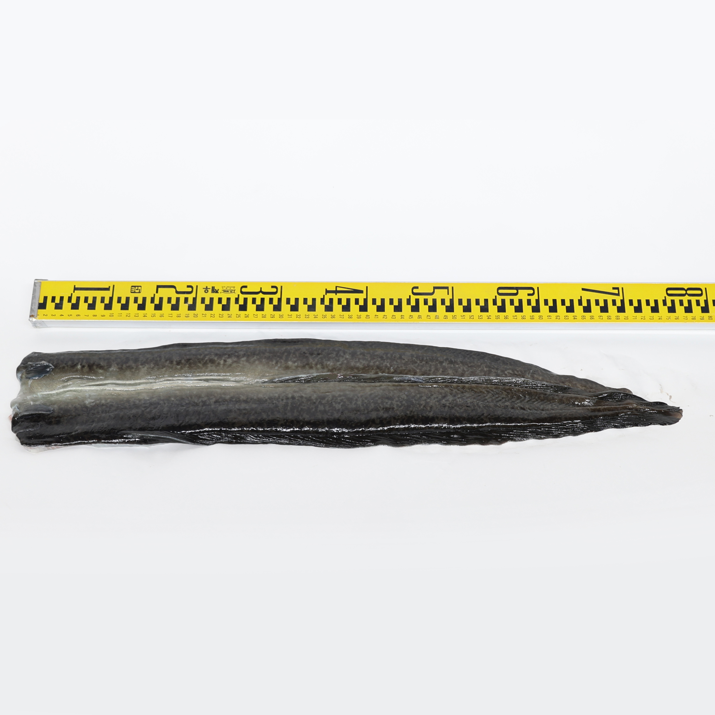 대물 민물장어 상천장어 특대사이즈 순살 1kg 선물용 민물장어 국내산 : 상천장어