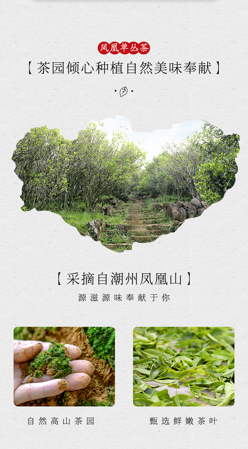 우롱차 봉황단총 고산노수 밀란향 1급 순화회감((醇和回甘) by 영총차창 500g : 운남상회 티다차이