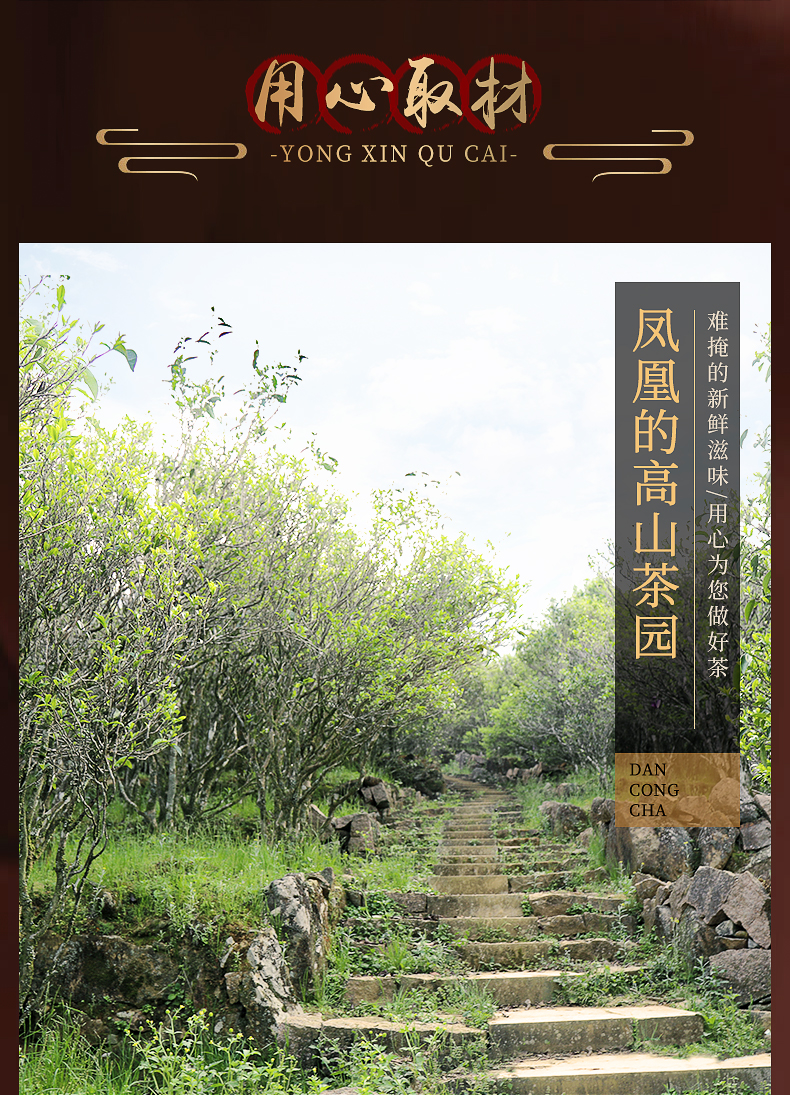 우롱차 봉황단총 고산노수 거타자 행인향 1급 by 영총차창 500g 배송비포함 : 운남상회 티다차이