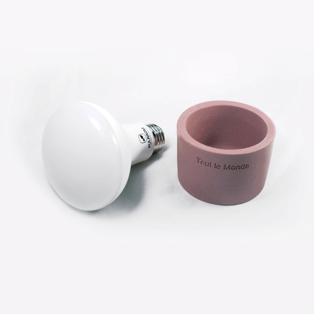 삼성 식물용LED 햇빛조명 식물등 다육이 제라늄 성장 재배 등 높은 PPFD 풀나옴 효과 : 모두의가든