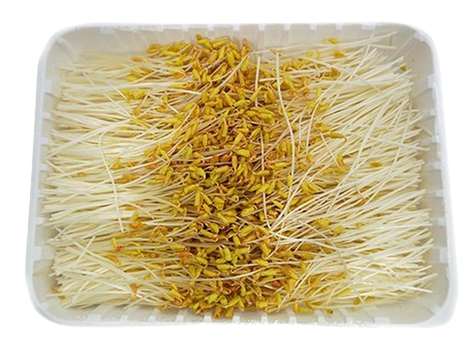 야채왕 황금메밀순 1팩(500g) : 야채왕