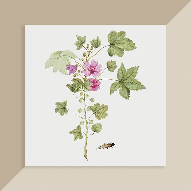 vintage flower8_029 빈티지 플라워8 세미액자 시리즈 (6x6/8x8) : 디자인바운스