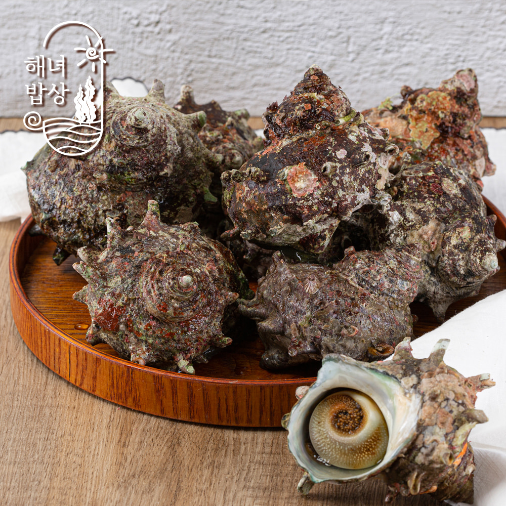 [마더트리-건강을담다] 뿔소라 전복세트_자연산뿔소라 1kg + 완도 활전복(11~12미)/1kg : 마더트리