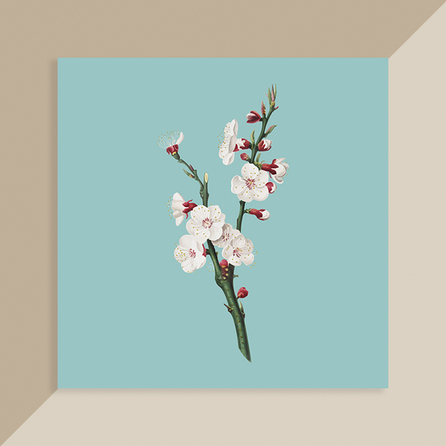 vintage flower8_021 빈티지 플라워8 세미액자 시리즈 (6x6/8x8) : 디자인바운스