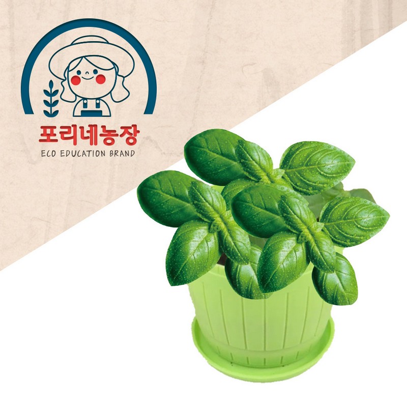 [포리네농장] 바질 쌍떡잎식물 키우기 키트 (봄,여름 식물) / 그린스마트 미래학교 : 아인몰