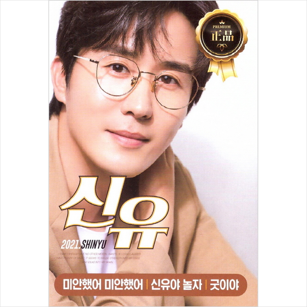 (USB) 신유 - 골든베스트 (66곡) : 드림레코드