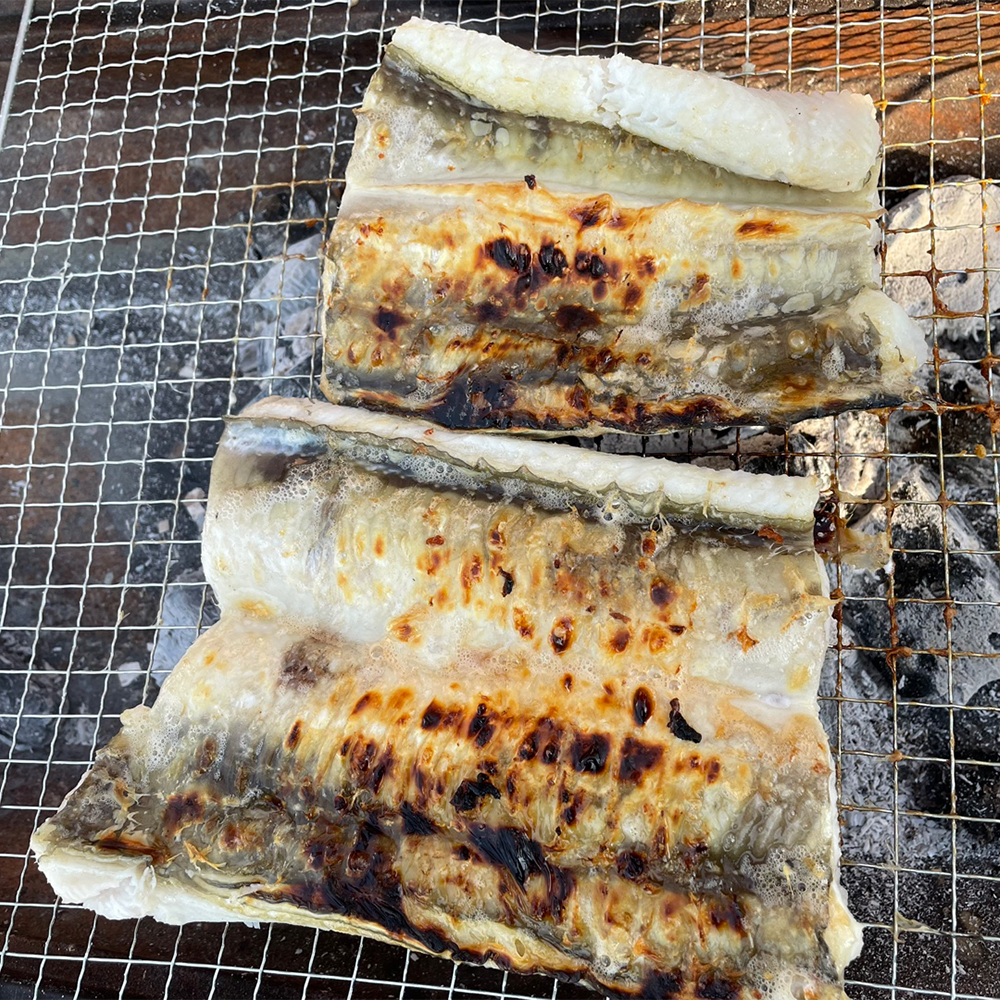 남해안 통영 바다장어 1kg 대 특대 장어 1키로 아나고 바닷장어 구이 붕장어 아나고 : 잘잘잘가게
