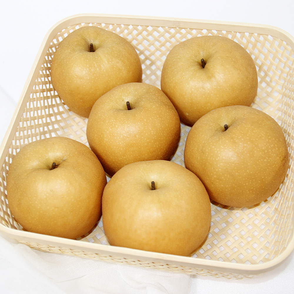 양양낙산배 선물세트 GAP인증 7.5kg : 맞이터농원