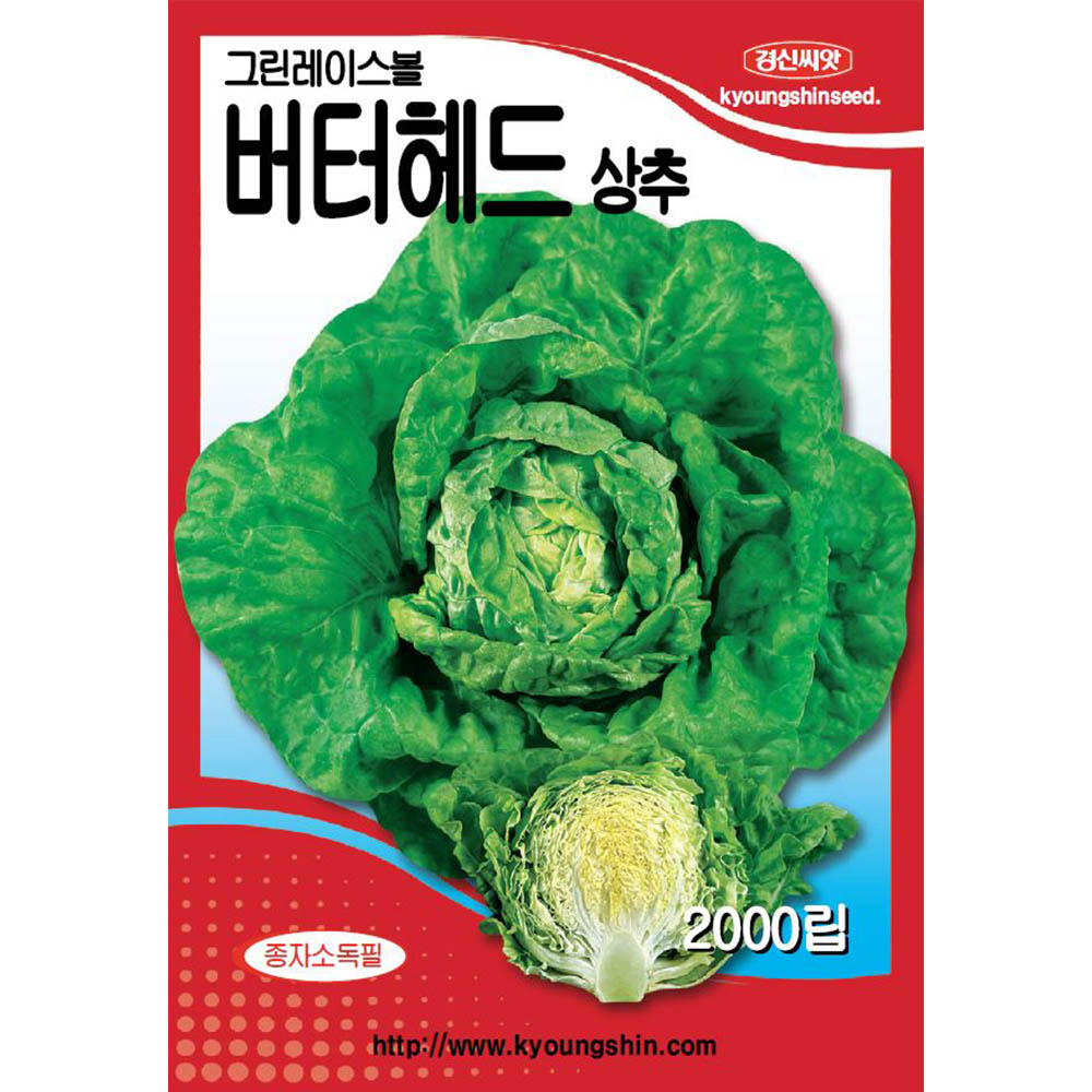 유럽상추씨앗 2000립 그린레이스볼 파종용 버터헤드 상추종자 경신종묘 : 경신종묘