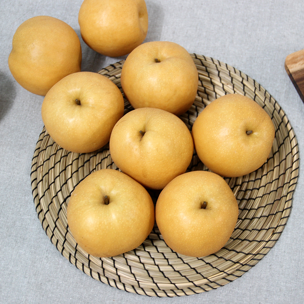 양양낙산배 202 설 선물세트 신고배 7.5 kg( 12~13과) : 맞이터농원