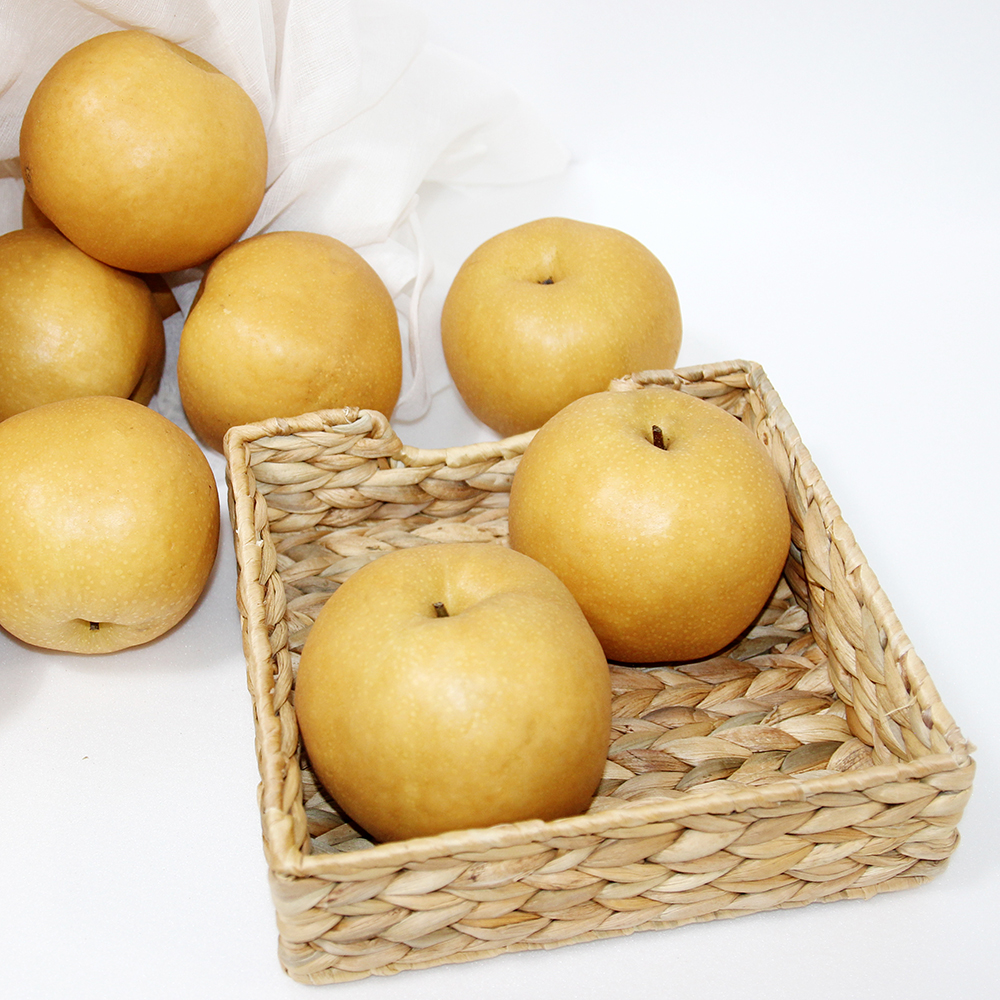 양양낙산배 202 설 선물세트 신고배 7.5 kg( 12~13과) : 맞이터농원