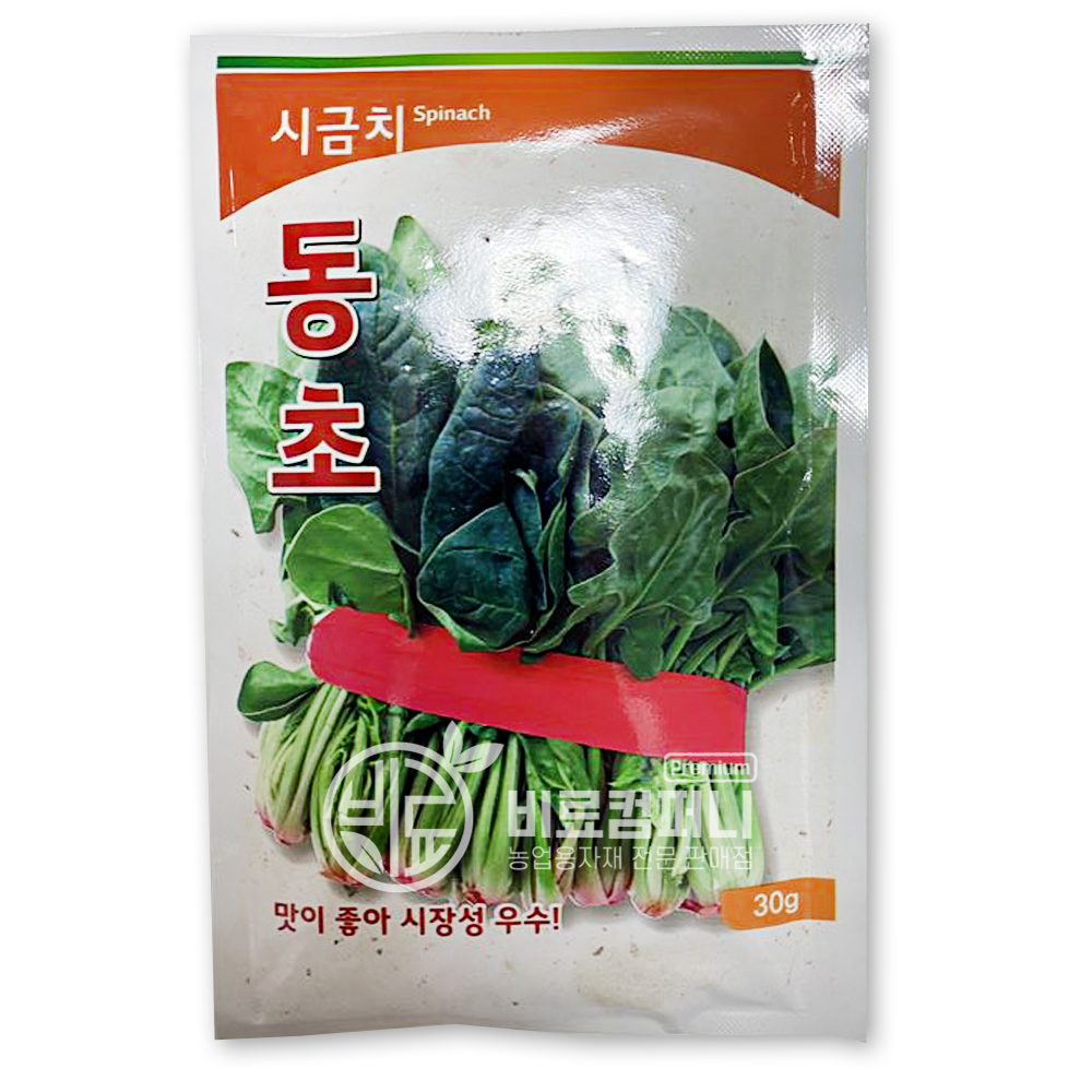 동초 시금치씨앗30g - 텃밭 주말농장 채소 야채 씨앗 : 친환경마켓